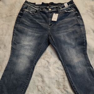 Judy Blue Light Wash Daphne Mid Rise Skinny Fit Jeans